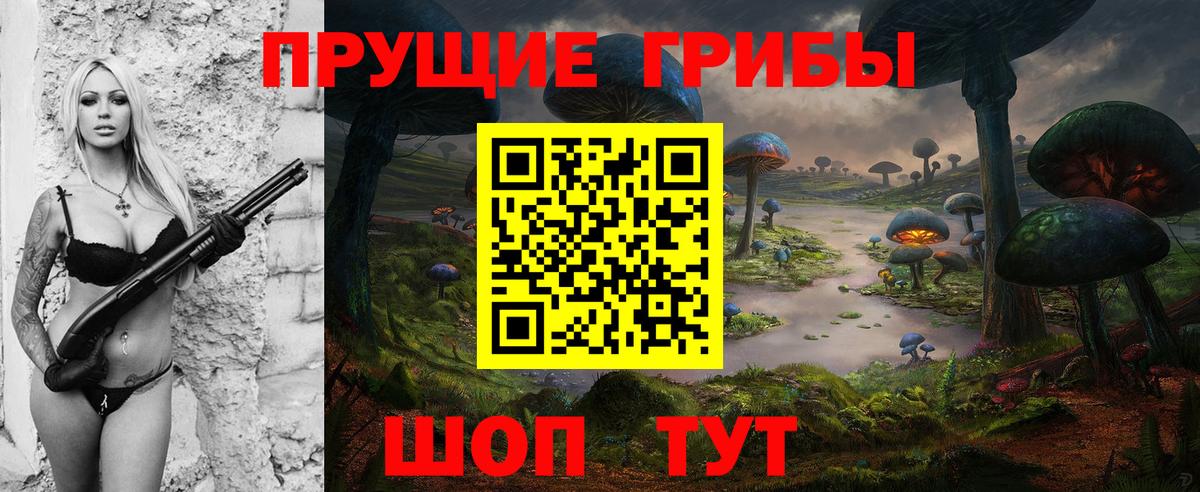 купить наркотики цена  Галлюциногенные грибы Psilocybe  Вход с VPN  Кунгур 